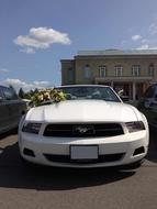 Rent Cars and Buses: Ford Mustang